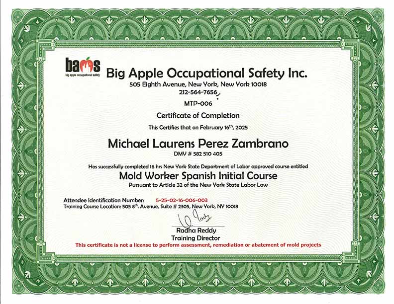 Michael Perez Mold License